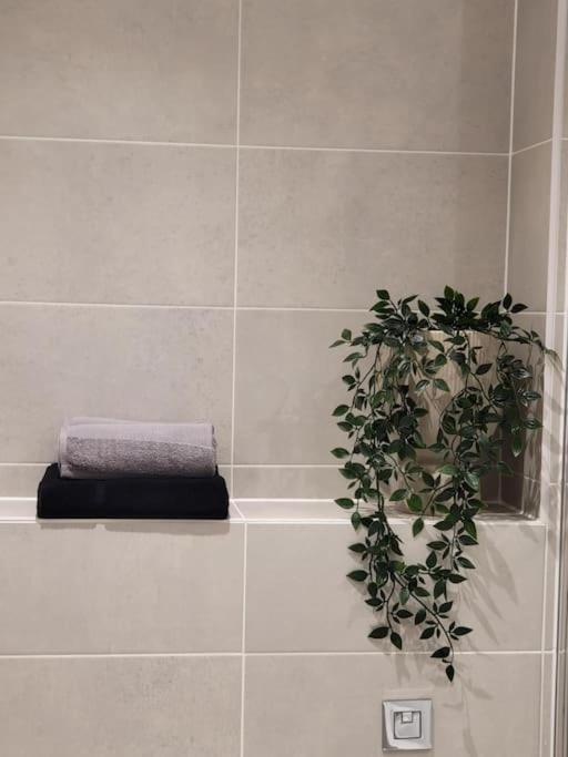 Entire Prestige In Quay - Free Parking, Fast Wifi, Smart Tv & Netflix Apartamento